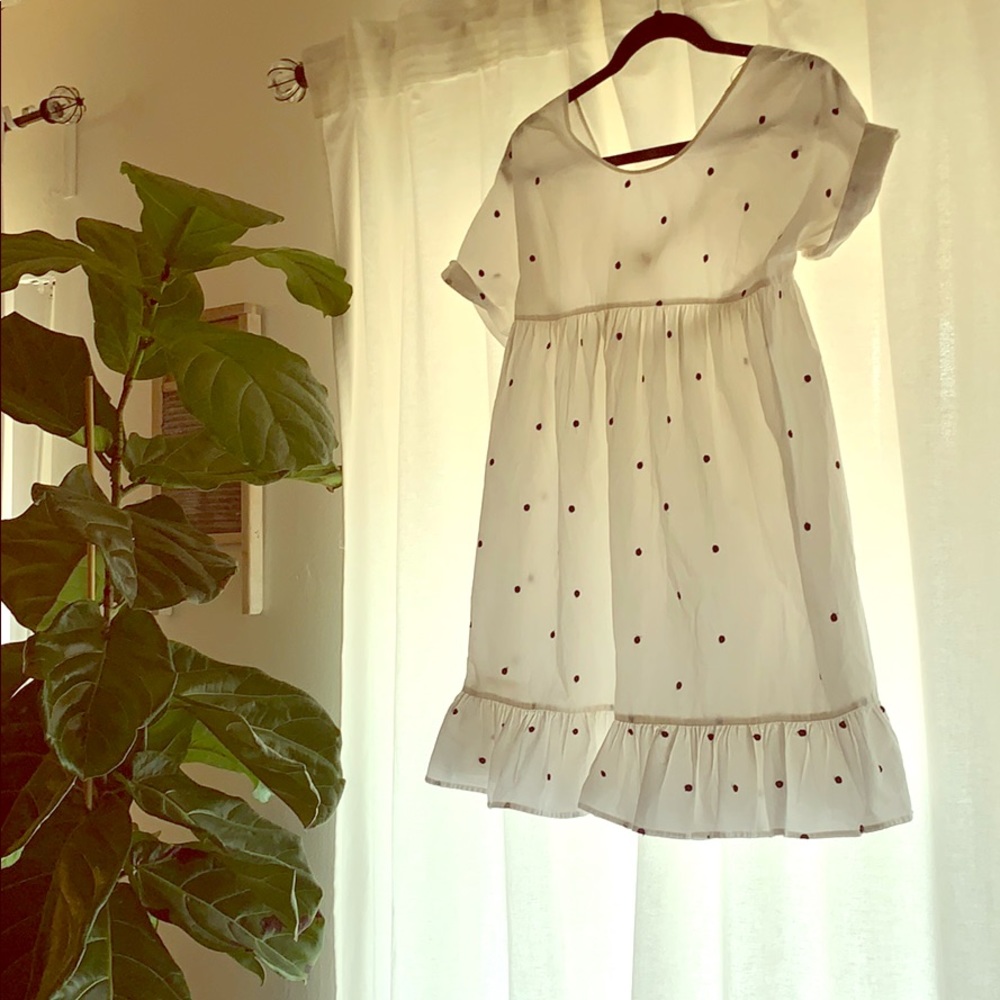 Zara polka dot embroidered dress.